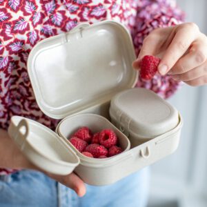 KOZIOL LUNCH BOX DET PASCAL READY MINI NATURE DESER