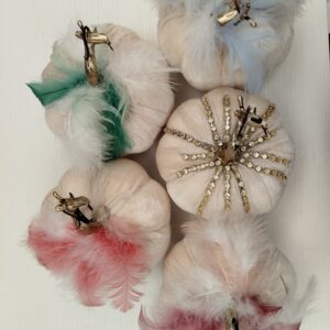 Κολοκύθες μικρές σε βελούδο μπεζ